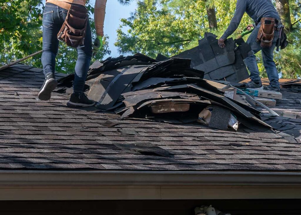 A person in gloves gently removes leaves from a low roof while a ladder and collection bucket rest nearby.